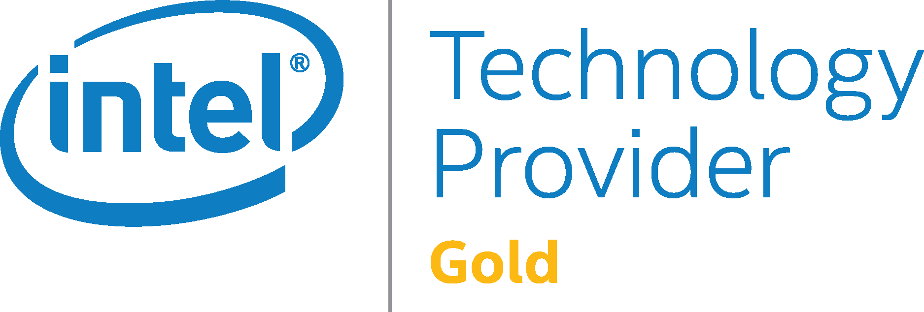 Intel Technology Provider Gold